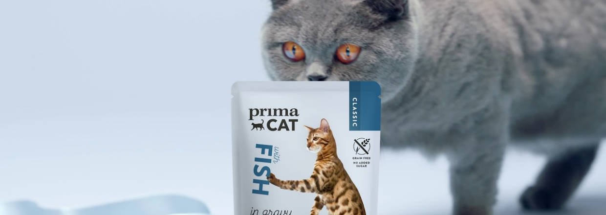 SE HELE VORES UDVALG AF KATTE FODER