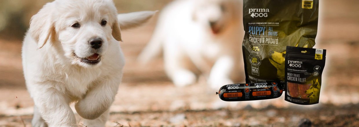 FÅ DEN BEDSTE START PÅ LIVET MED VORES HVALPE FODER