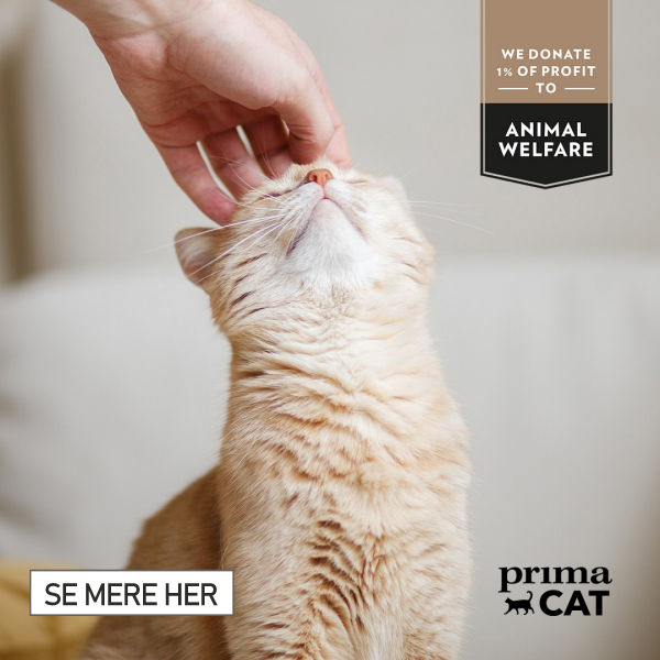 Se hele vores store udvalg super kvalitetsfoder fra PrimaCat - det bedste til din kat...
