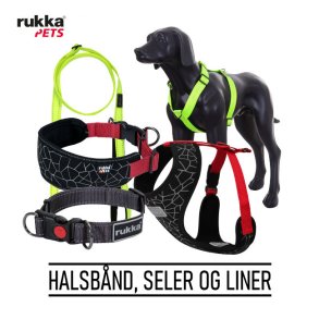 Halsbånd, seler og liner