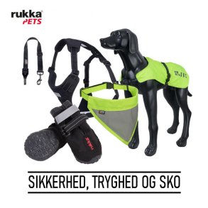 Sikkerhed, tryghed og sko