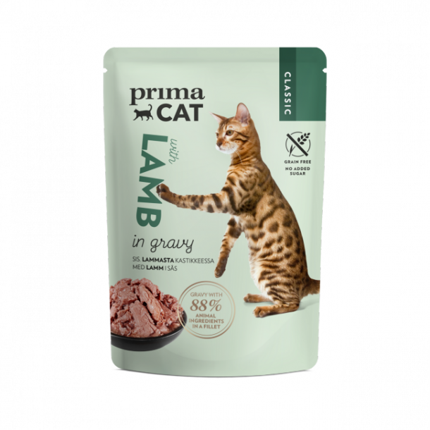 Gravy Collection - 12-pack