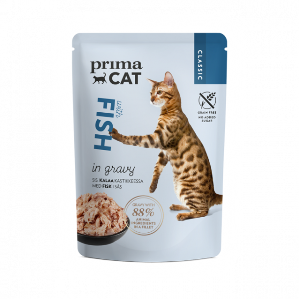 Gravy Collection - 12-pack