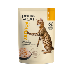 Jelly Collection - 12-pack