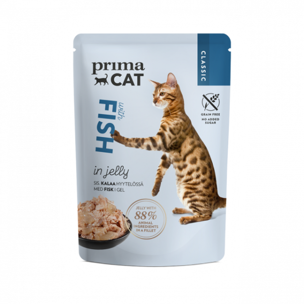 Jelly Collection - 12-pack