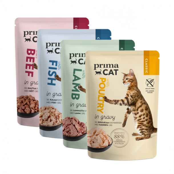 Gravy Collection - 12-pack