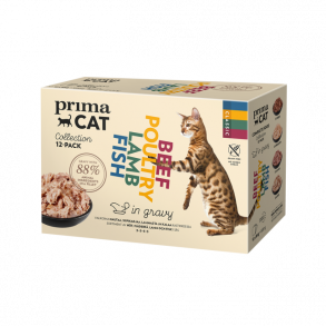 Gravy Collection - 12-pack