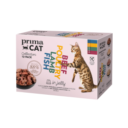 Jelly Collection - 12-pack