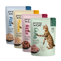 Jelly Collection - 12-pack