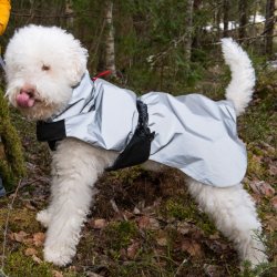 Shine Raincoat - regnjakke