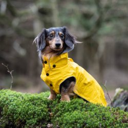 Stream Raincoat - Regnfrakke