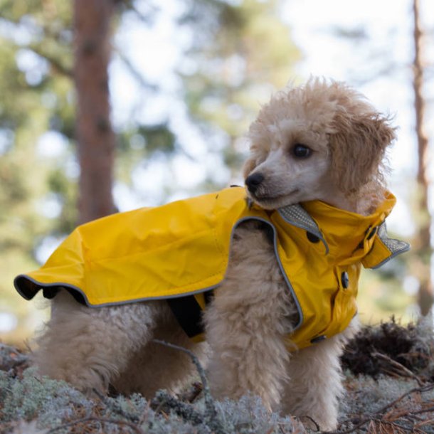 Stream Raincoat - Regnfrakke