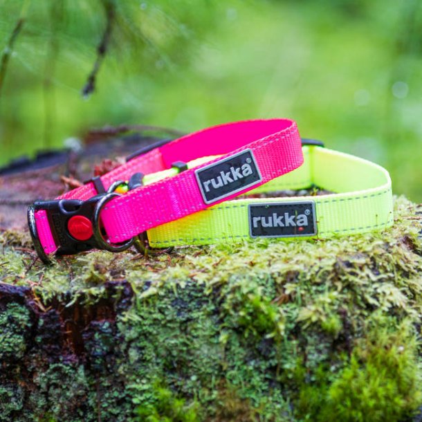 Bliss Neon Collar - Halsb�nd