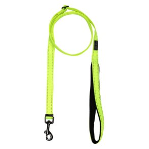 Bliss Neon Leash - Line