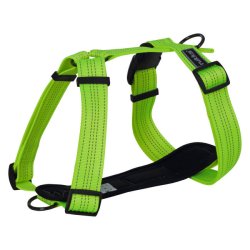 Form Neon Harness - hundesele
