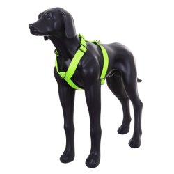 Form Neon Harness - hundesele