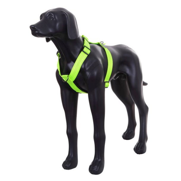Form Neon Harness - hundesele