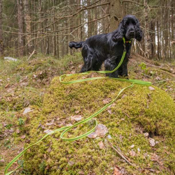 Grip Tracking Leash - lang line
