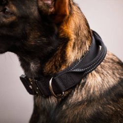 Mission Collar - halsbnd