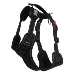 Solid Harness - sele