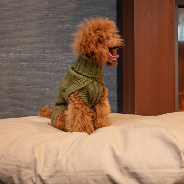 Loungy Eco Bed - stilfuld hundepude