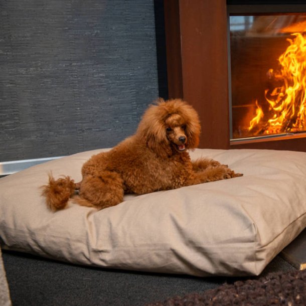 Loungy Eco Bed - stilfuld hundepude