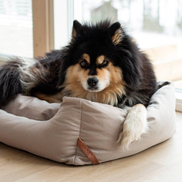 Square Eco Bed - hundeseng