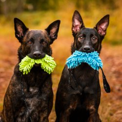 Fluffy Toy - Plysleget�j