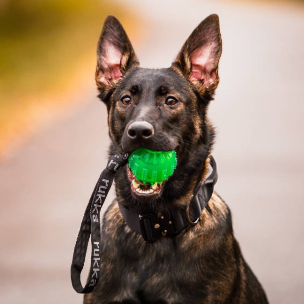 Gel Ball - legebold med lang strop