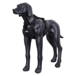 Car Harness - Bilsele