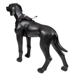 Car Harness - Bilsele