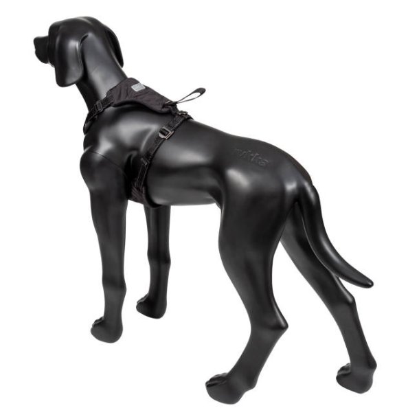 Car Harness - Bilsele