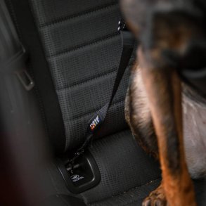Car Seatbelt Clip - ISOFIX line