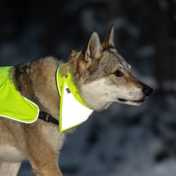 Flip Visible Scarf - refleks trklde