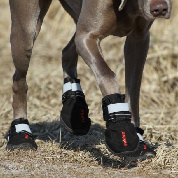 Proff Shoes - hundesko (2 stk.)