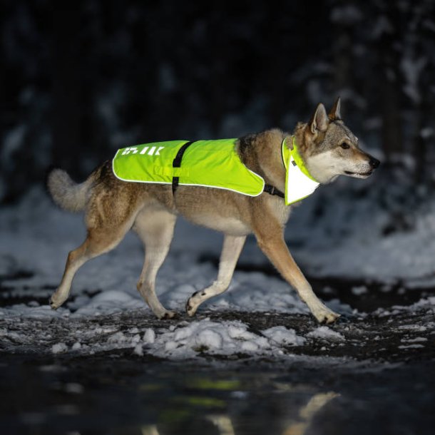 Flap Visible Vest - refleksvest
